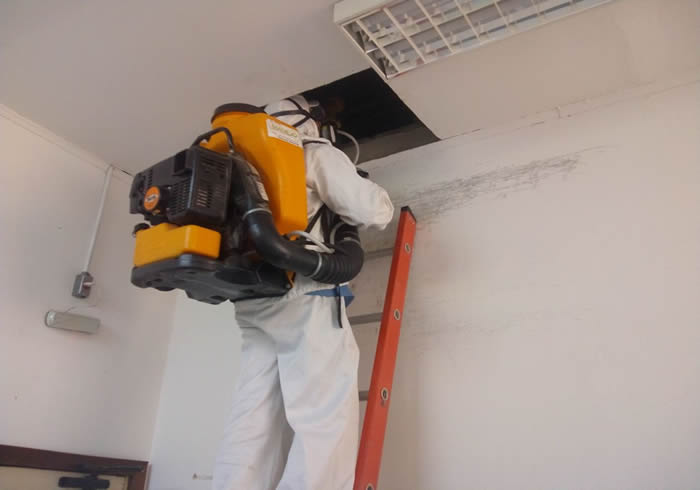 dedetizacao manejo 1