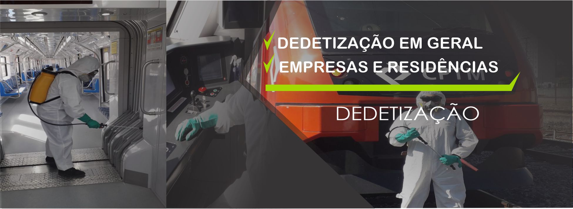 dedetizadora em campinas