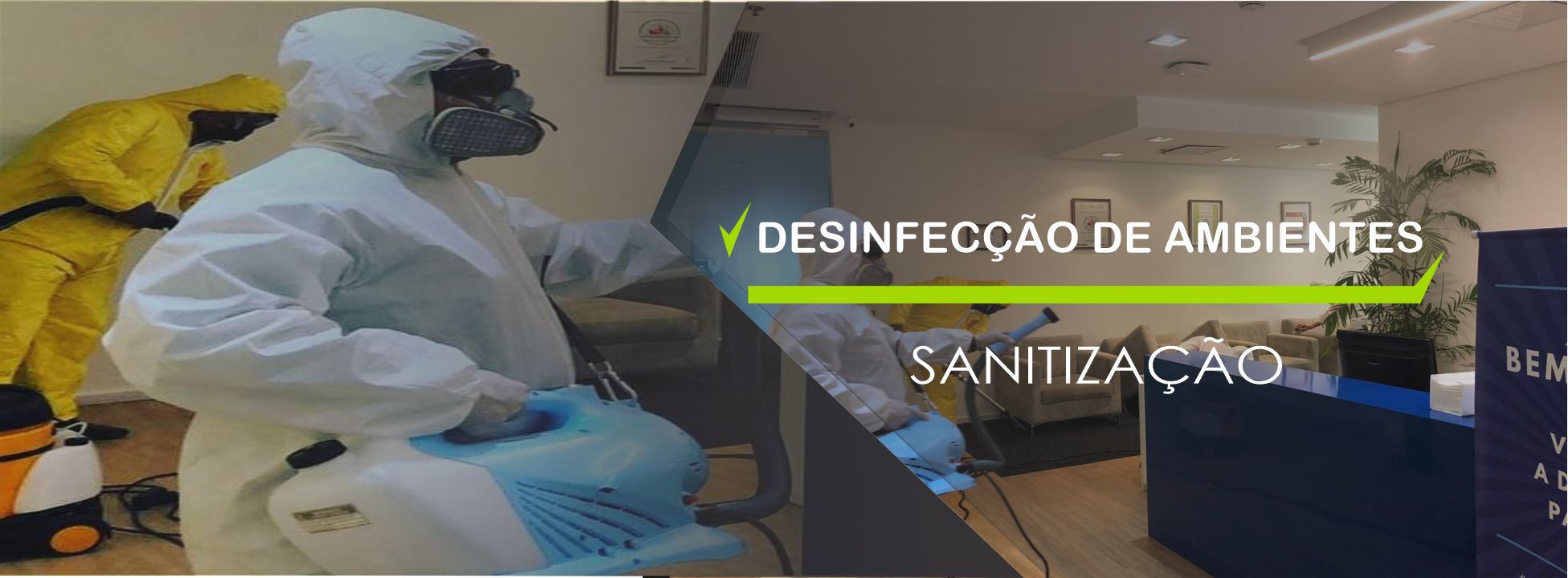 dedetizadora em campinas