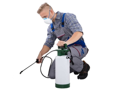 Dedetização - Desinsetização